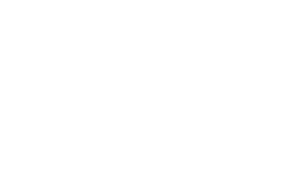 Management Partner